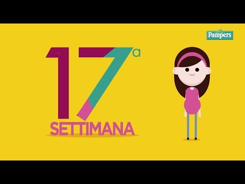 Articolazioni della spalla e Anca di video chirurgia di sostituzione