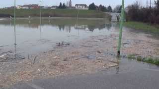 preview picture of video 'Borgoforte, strada allagata nei pressi dell'argine del Fiume Po'