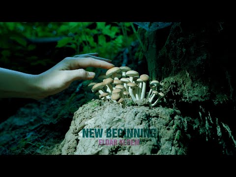“New Beginning” by Eldar Kedem