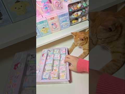 Kuromi Shopping🛍 #sanrio #kuromi #mymelody #hellokitty #cinnamoroll #cute #japan #shorts #asmr #fyp