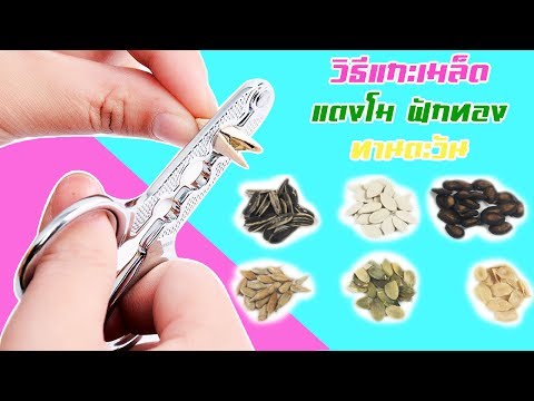 ฉันมีสมาชิกบางเล็ก ๆ น้อย ๆ ขนาดอวัยวะเพศชายและบางส่วนมีขนาดเล็ก