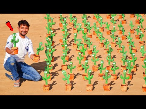 Talking With 100 Talking Cactus - Worth ₹50000/-