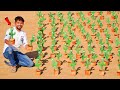Talking With 100 Talking Cactus Worth 10000