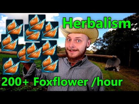 Foxflower Farming Route 200+/hour