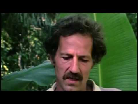 Why Werner Herzog Makes Films