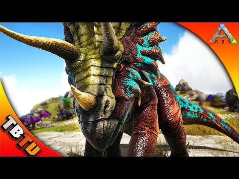 TRICERATOPS MUTATIONS WITH TINY HUMAN! TRIKE BABY COLOR MUTATIONS! Ark Survival Breeding Evolved