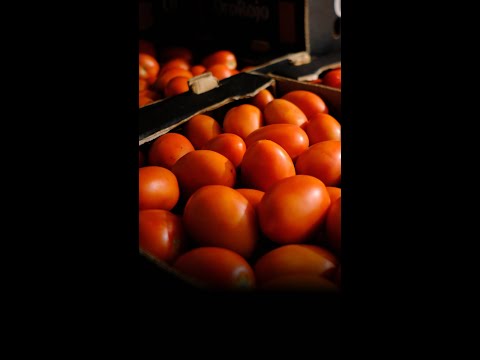 Why Tomatoes Are the Most Expensive They’ve Been in Four Decades