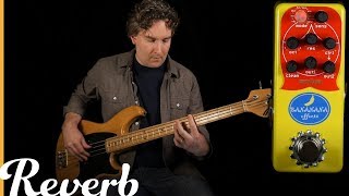 Video thumbnail for Bananana Effects Matryoshka Bass Synth Pedal | Reverb Tone Report by Reverb