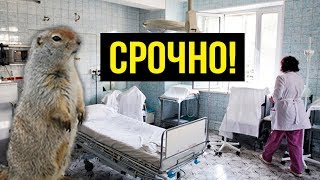 СМИ МОЛЧАТ! В Саратове ЭПИДЕМИЯ!