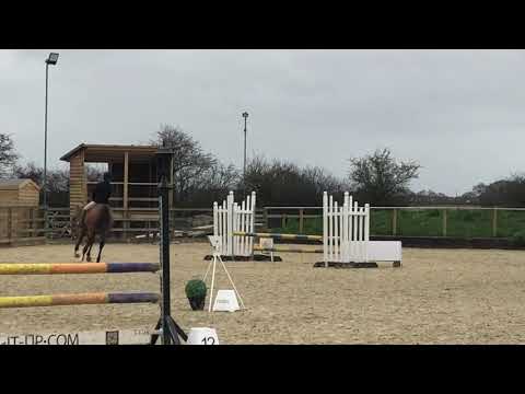 Dragon Tattoo 95 Amateur Qual. 11/01/20