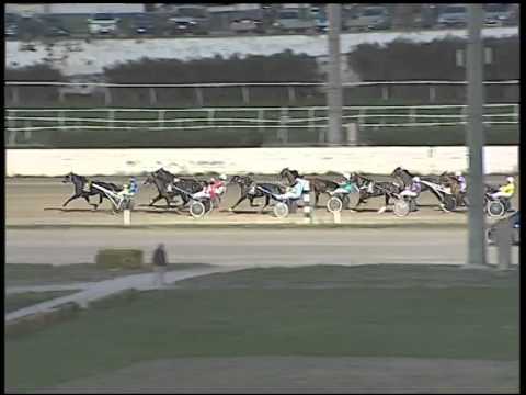 Trotto 09/12/2014 - 4° corsa