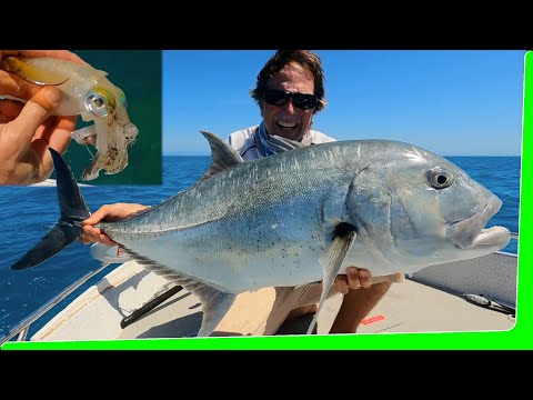 Solo boat camping - 62km offshore - Catch and Cook - Monster fish - EP.546