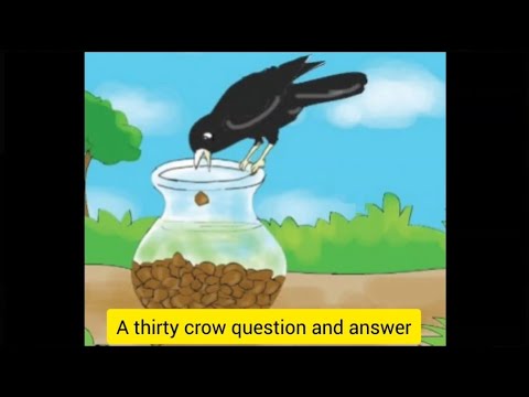 Thirsty crow question and answer. Thirsty👅💦 crow story