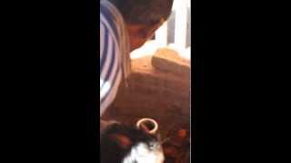 Bhimsen - The Patron Deity of Traders