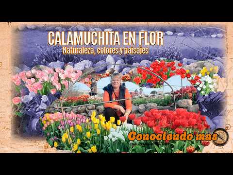 CALAMUCHITA EN FLOR : NATURALEZA, COLORES Y PAISAJES
