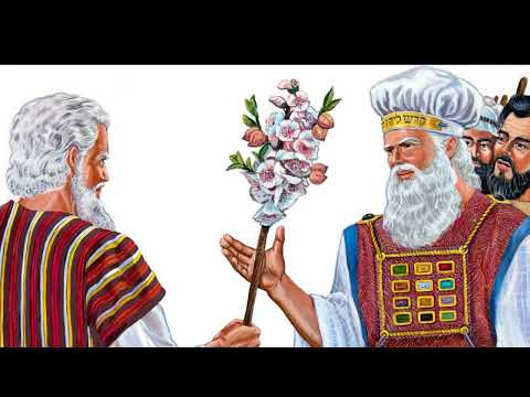 Día 29 El milagro de la vara y del agua de Meribá