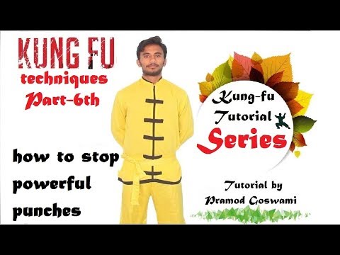Part 6 Kungfu tutorials for beginners Kungfu training in hindi martial arts training