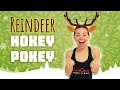 Follow Along Toddler Reindeer Hokey Pokey