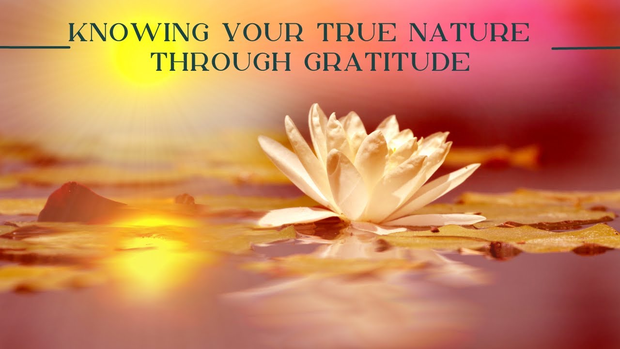 GUIDED MEDITATION - Knowing Your True Self [Through Gratitude]