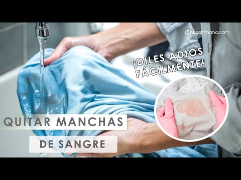 Cómo quitar manchas de sangre de la ropa 🧽​👚​ Truco de Hogarmania