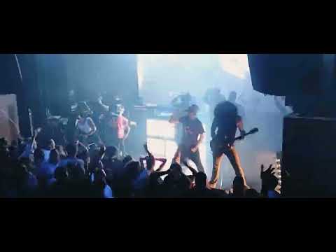 De Kraaien live @Paard Den Haag - ik vind je lekker