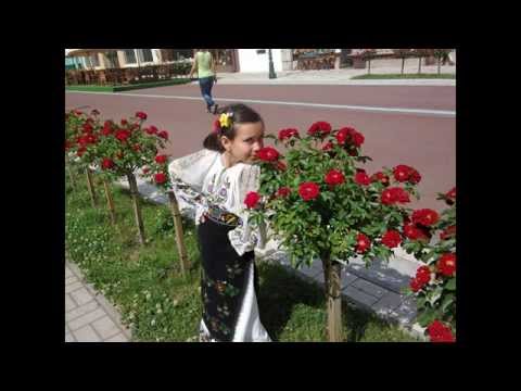 Nicoleta Iancu si Alex Buciu - Cucule mare dusman