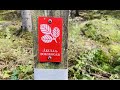 Åkulla Bokskogar In Sweden