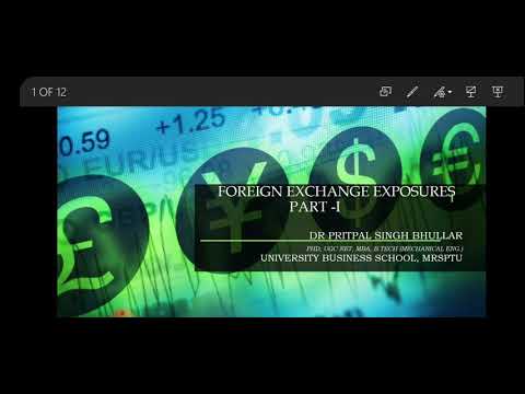 Foreign Exchange Exposure Part 1