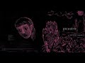 Picastro - Neva