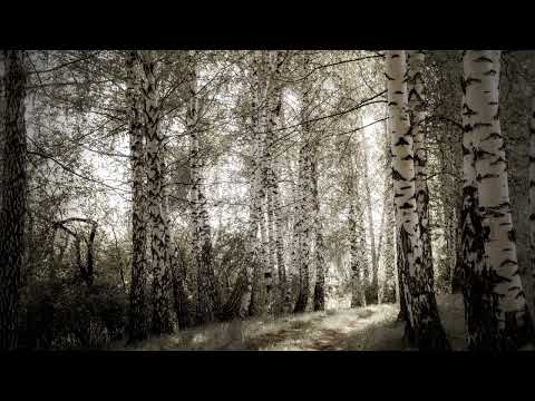 Marija Grozdanović Vrti vrti kolo