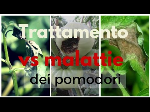 Esercizi per la colonna vertebrale toracica video Bubnovsky Articolazioni e legamenti sportivi recensioni di nutrizione