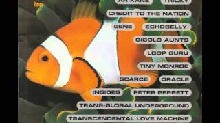 Volume Ten - Disco Inferno - Second Language