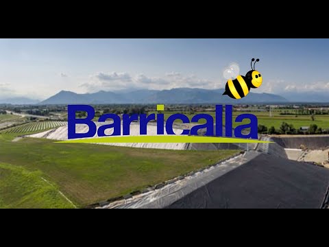 Le api, sentinelle dell’ambiente per Barricalla