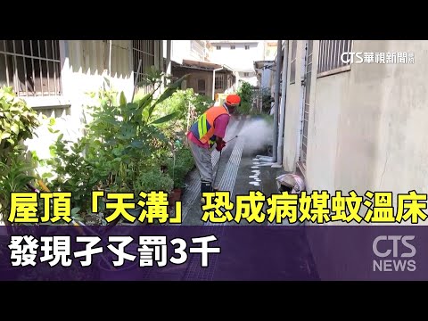 屋頂「天溝」恐成病媒蚊溫床　發現孑孓罰3千
