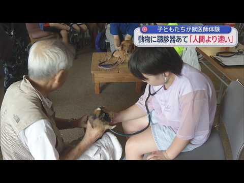 YouTube Video 聴診器でモルモットや犬の心臓の音を　獣医師の仕事を体験　静岡・富士市「富士山こどもの国」