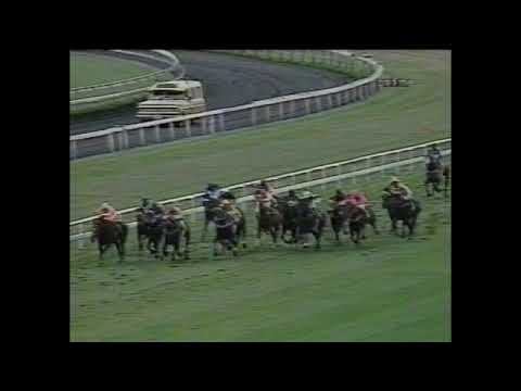 1992 BRC Doomben Racing 16 May