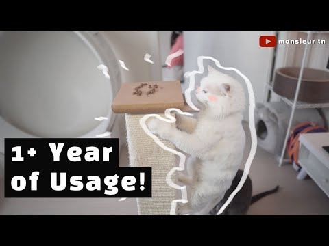 The ONLY Scratching Post NEEDED | SmartCat Ultimate Scratching Post 1+ Year Review