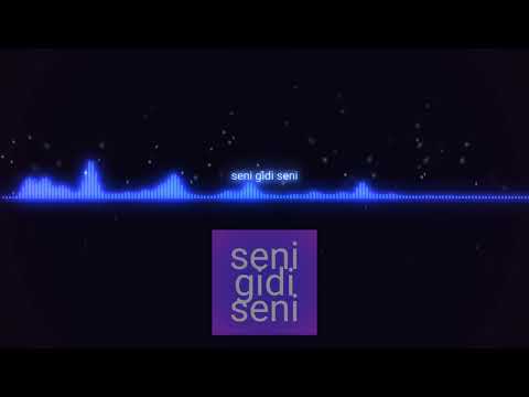 seni gidi seni T REMIX