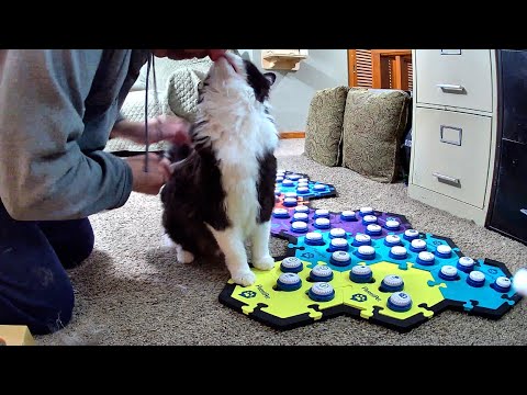 Todd Reminds Me It's The Day I Clean His Water Fountain