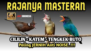 Download lagu Jernih banget !! KOMBINASI MASTERAN KAPAS TEMBAK-CILILIN-TENGKEK BUTO ‼️ mp3