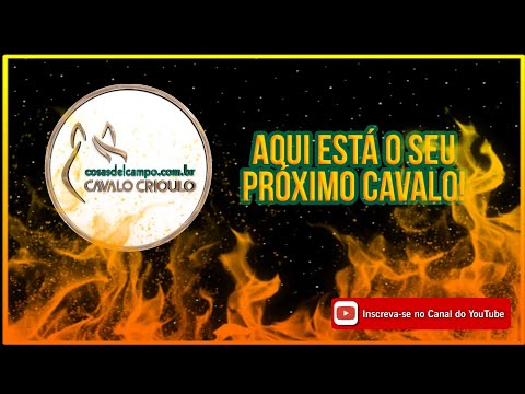 Você sabia? Tudo sobre alergias a equinos