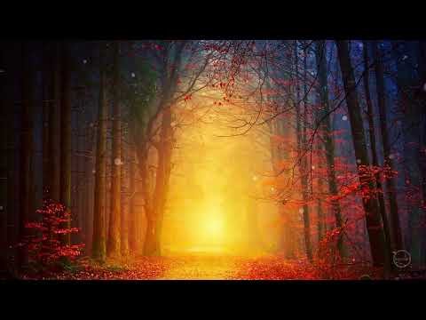 Drift - Helmut Schenker