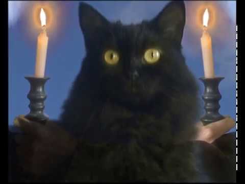 Palmiyeler - Rüzgar, Deniz (Official Video)