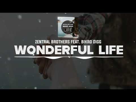 DNZF899 // ZENTRAL BROTHERS FEAT. BIKRO DIGG - WONDERFUL LIFE (Official Video DNZ Records)