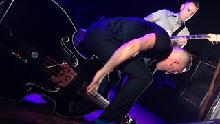 Tiger Army -True romance live HD