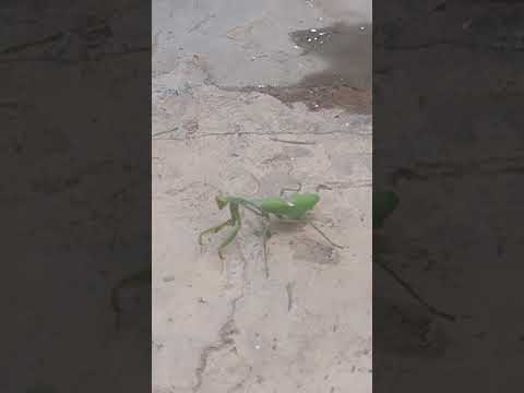 Los Molles.San Luis.Argentina.