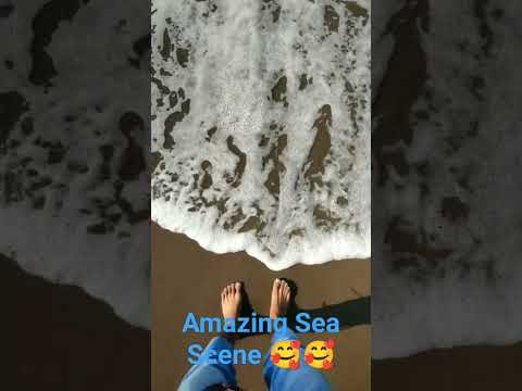 Amazing scene of a sea beach🥰🥰🥰🥰 #youtubeshorts #shorts #short