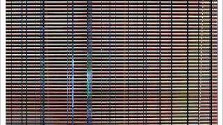 Total Control : S.I.B