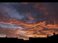 Midnite - New Life