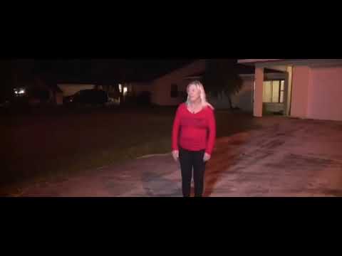 Portal Leouve - Cão dirige veículo por uma hora nos Estados Unidos